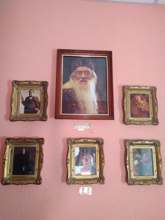 У Поттера Hostel Тернопил Екстериор снимка
